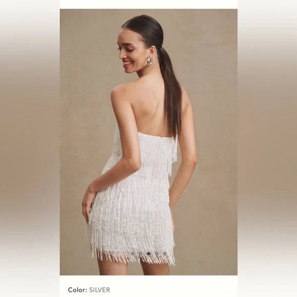 BHLDN | Dresses | Bhldn Arabella Strapless Sequin Fringe
